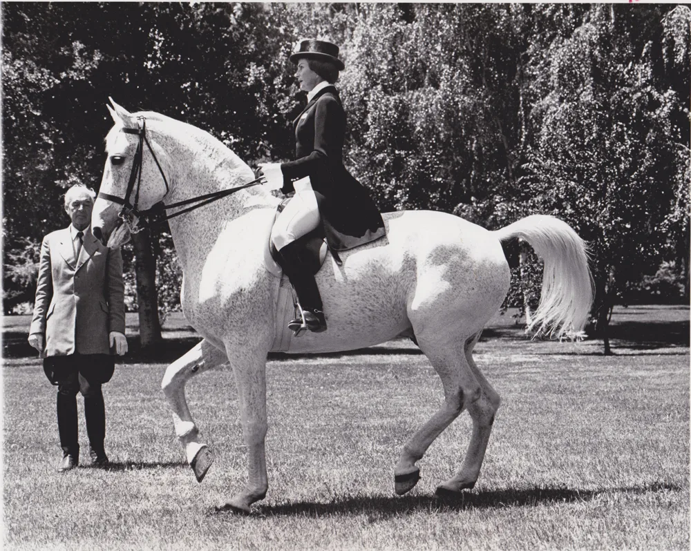 Kyra Downton & Kadett piaffing as Col. Alois Podhajsky at the Spanish Riding School